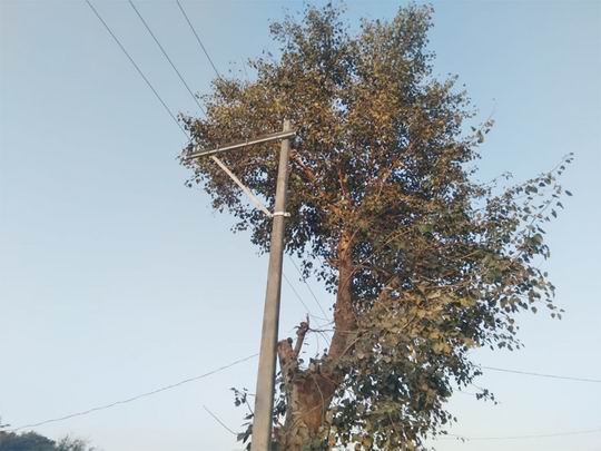 आज की टॉप 10 खबर 27 फरवरी 2025 गुरूवार